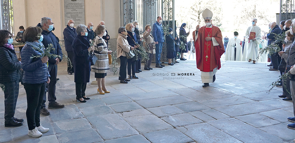 Domenica delle palme