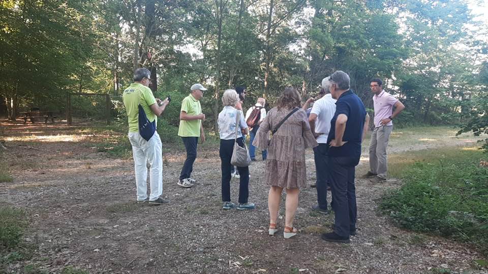 Partecipanza