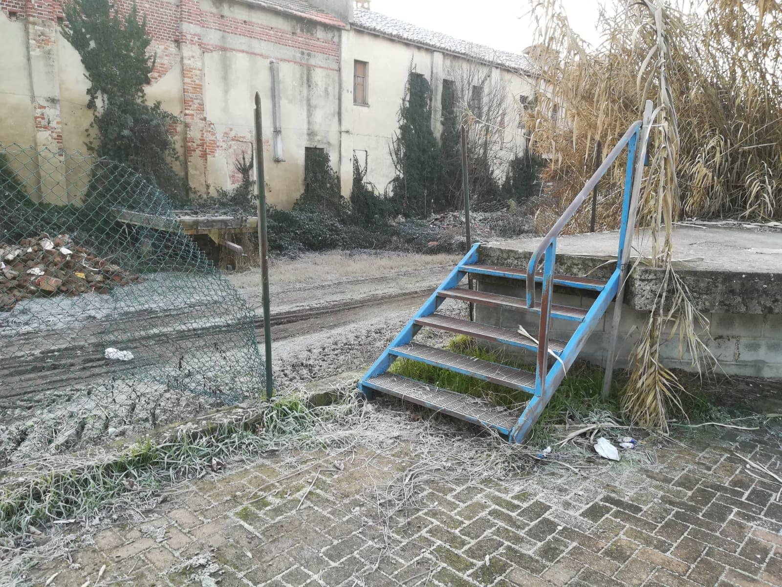 Costanzana polifunzionale