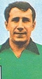 Gino Raffin