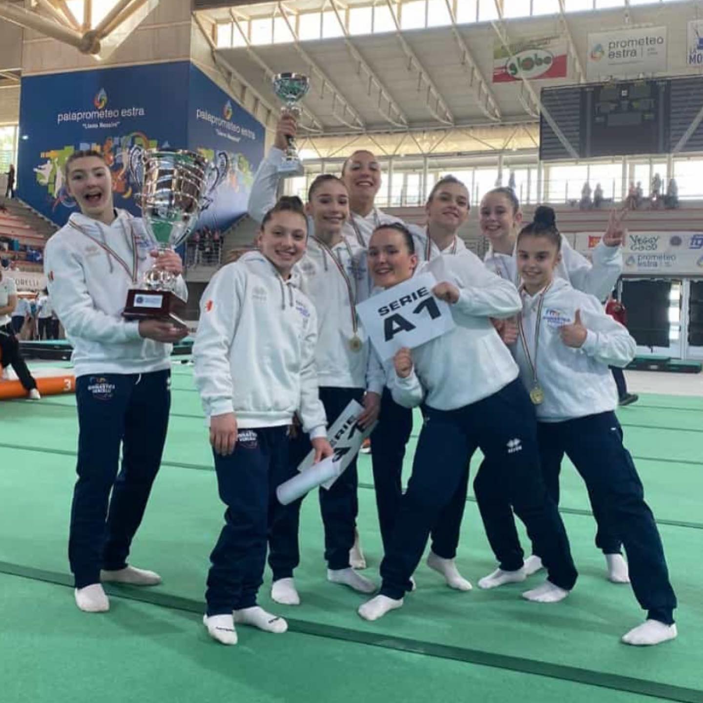 Libertas ginnastica