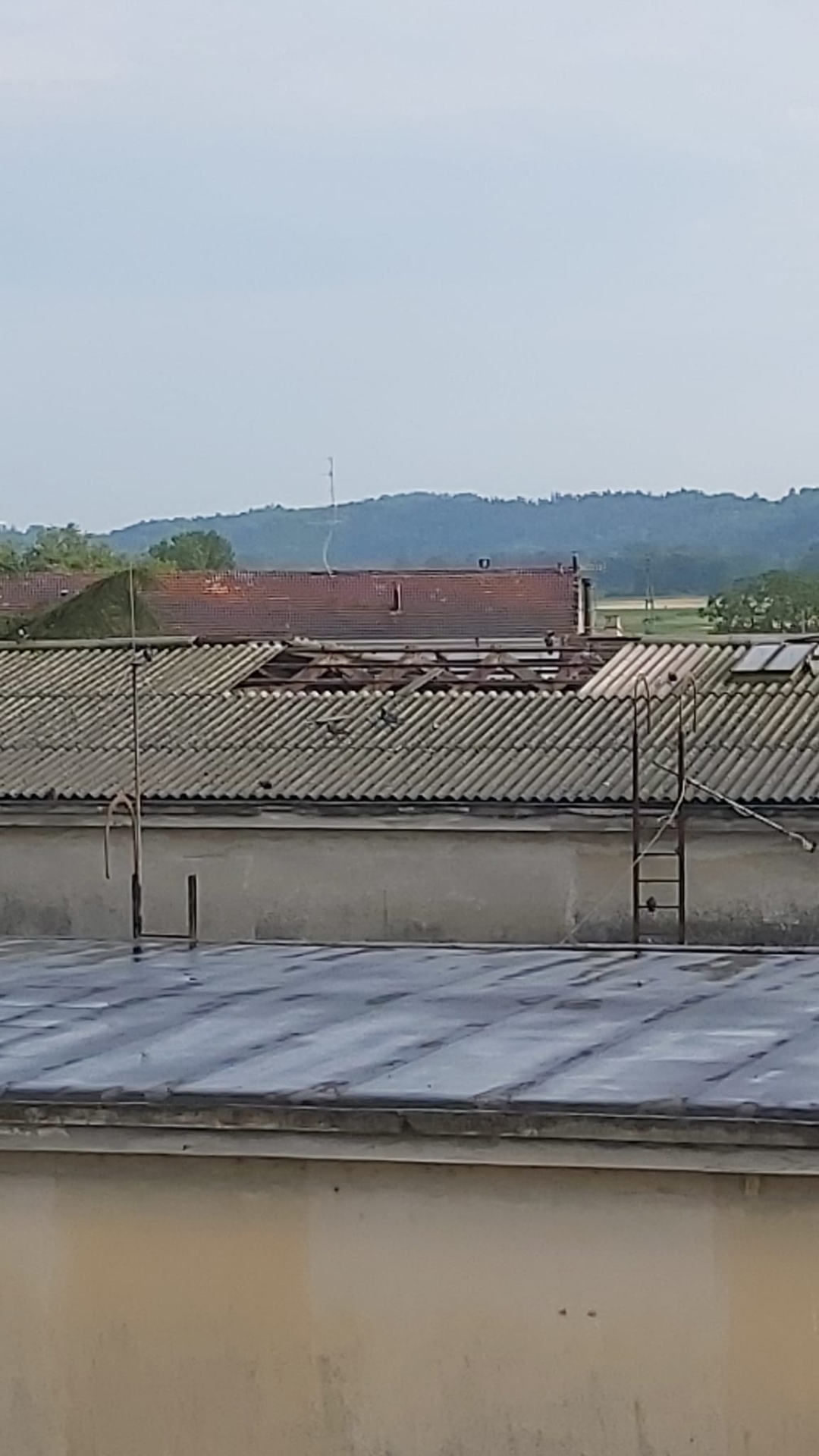trino ex ovest ticino